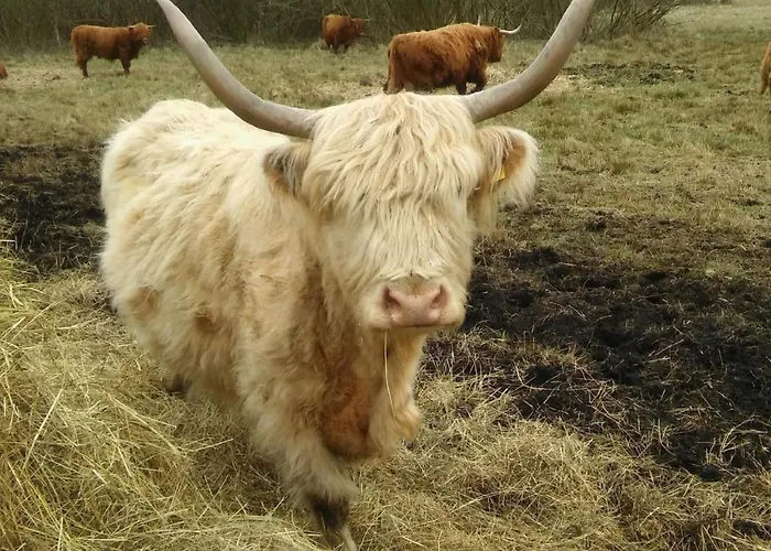 Juwel An Der Lagune By Interhome Casa de Férias *