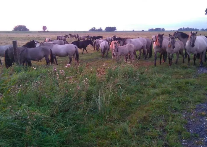 Juwel An Der Lagune By Interhome Casa de Férias *