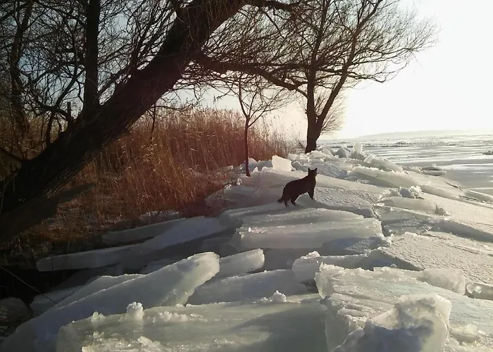 Juwel An Der Lagune By Interhome